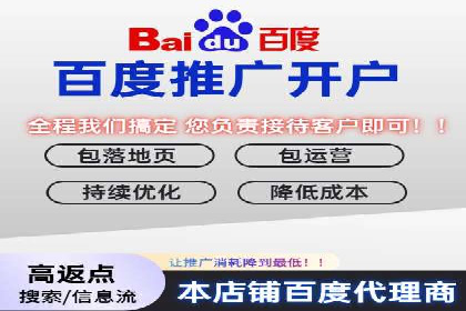谷歌竞价案例：跨境电商广告投放策略